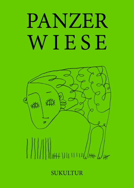 PANZER WIESE (DgR 13)